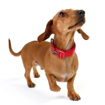 DOOG - Neosport Neoprene Dog Collar Red - Gr. L